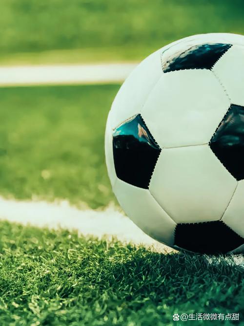 数据分析师使用足球预测工具进行专业分析