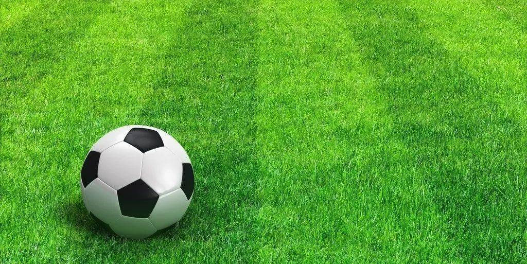 足球预测分析app多平台下载界面展示